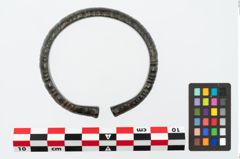 Foto von Bronzearmreif (NHMW-PRAE-025656)